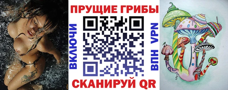 Купить Бологое Галлюциногенные грибы GOLDEN TEACHER